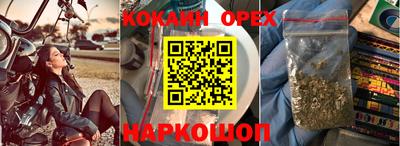 Альфа ПВП Моздок
