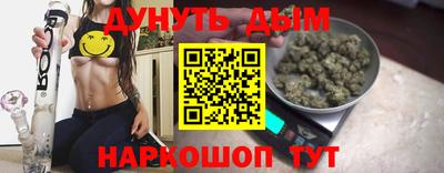 Альфа ПВП Моздок