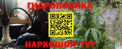 тгк Можга