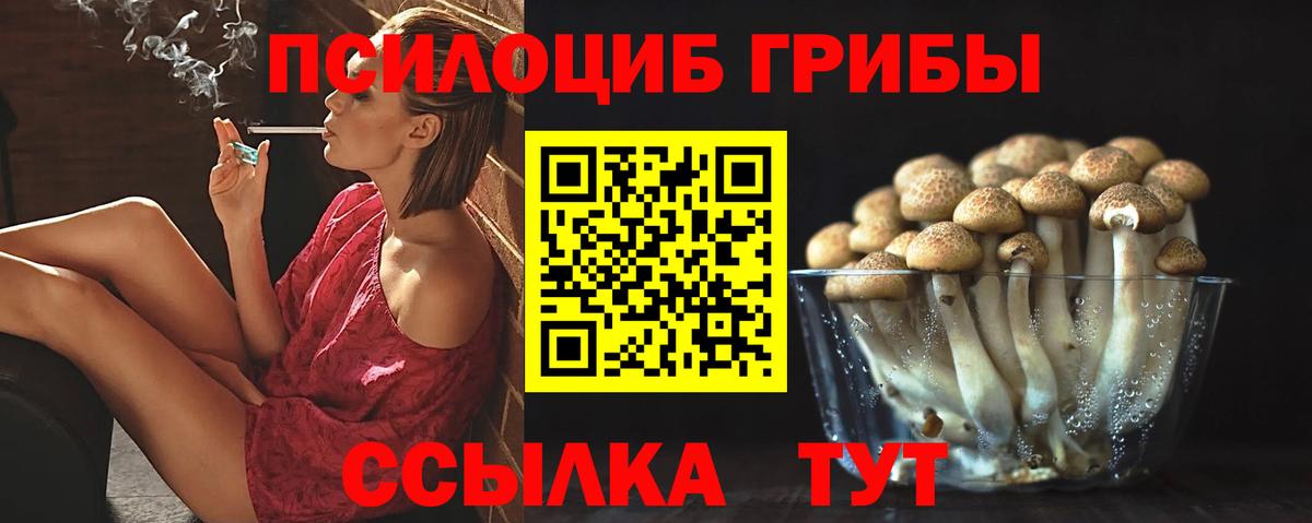 Советский  Псилоцибиновые грибы ЛСД  Вход с VPN 